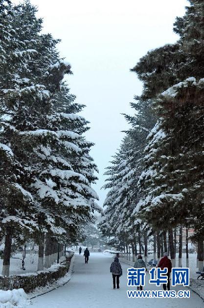 （生态）（1）吉林再次迎来降雪天气 