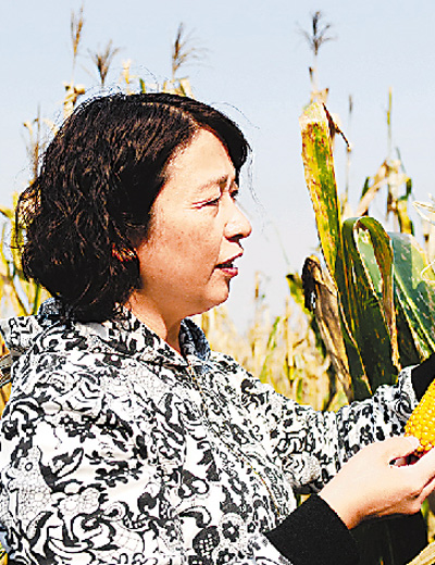 梅园雪在高产项目区查看玉米结穗情况。