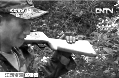 记者在资溪县一林场看到三名盗猎者。央视截屏