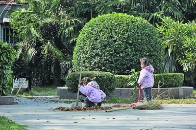 3岁双胞胎姐妹帮清洁工奶奶扫马路引关注(图)