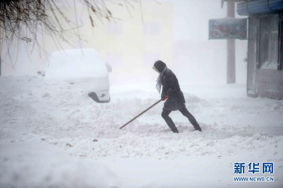 （生态）（5）黑龙江遭遇强降雪