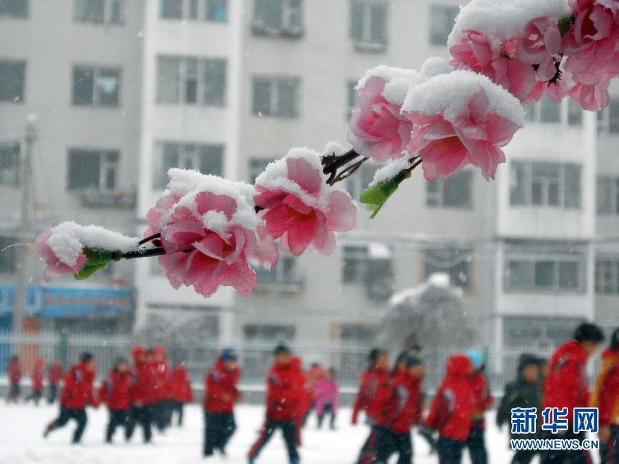 #（生态）（4）东北地区迎来大范围降雪