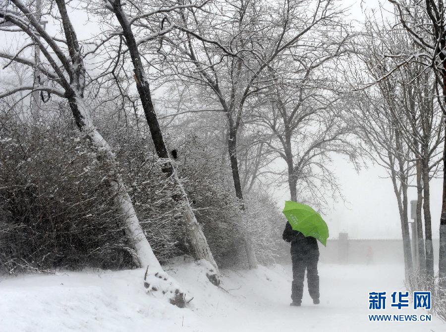 （生态）（7）沈阳暴雪