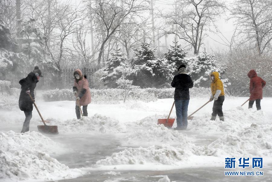 （生态）（4）沈阳暴雪