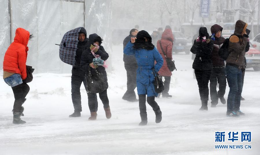 （生态）（1）沈阳暴雪