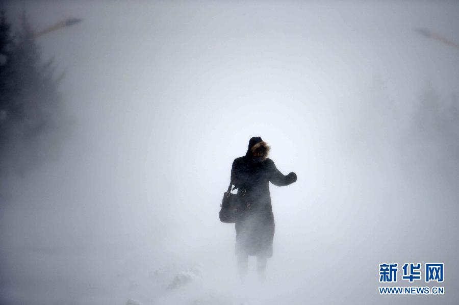 （生态）（4）黑龙江遭遇强降雪