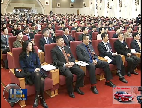 章子怡李冰冰参加致公党代表大会（图）