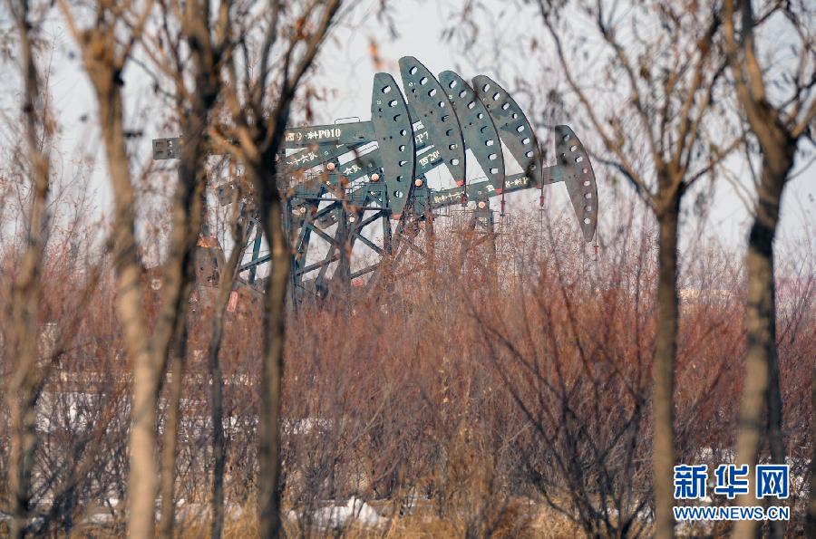 （奋进中国·十八大精神在基层·图文互动）（3）有限资源无限空间－－大庆模式之启示