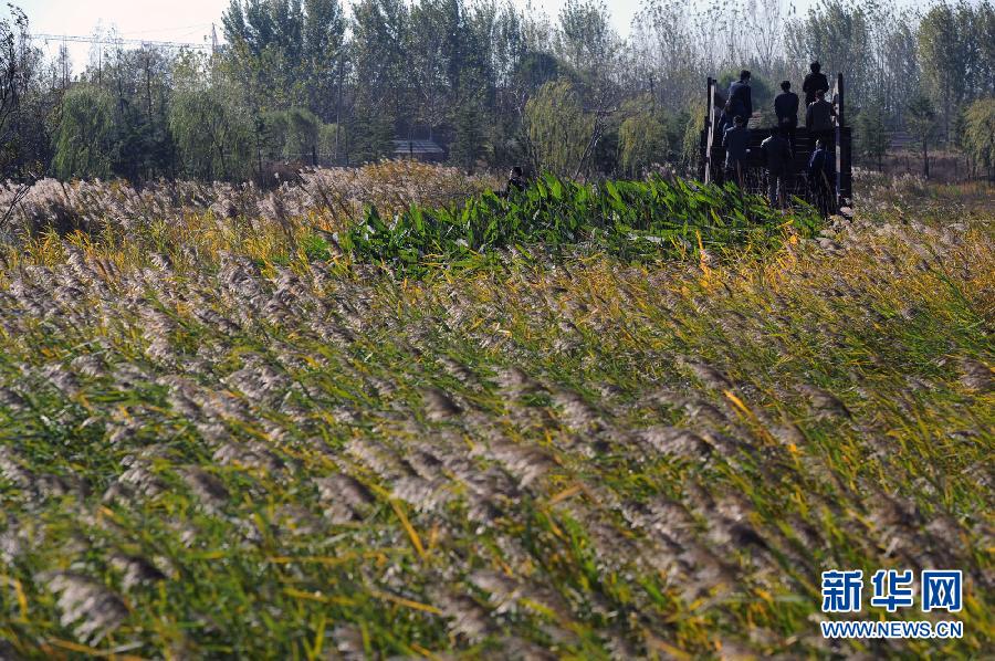 （奋进中国·十八大精神在基层·图文互动）（4）修复“地球伤疤” 营建美丽家园----我国资源型城市生态建设见闻