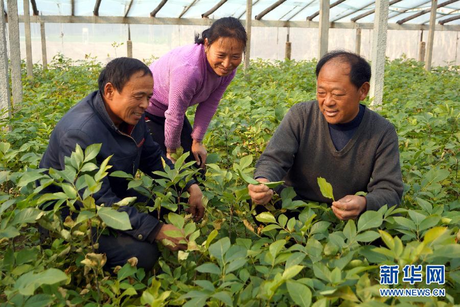 （奋进中国·十八大精神在基层·图文互动）（1）让农民增收脚步跟上“城里人”——基层呼吁打破城乡二元桎梏 