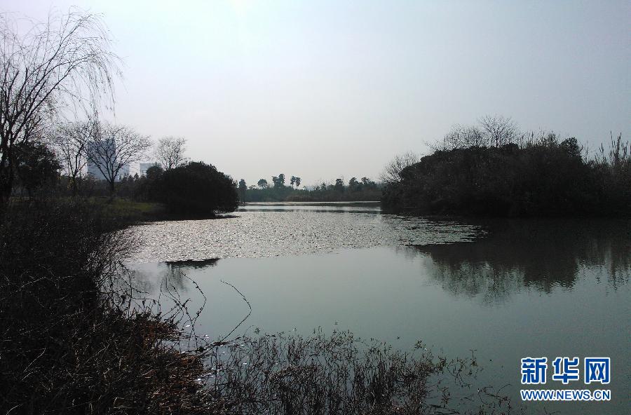 (学习贯彻十八大·图文互动)(1)青山绿水带笑颜 返还商机到人间——江西湿地公园“绿色发展”启示录