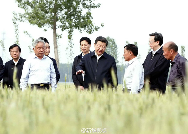 习近平在河南省尉氏县考察