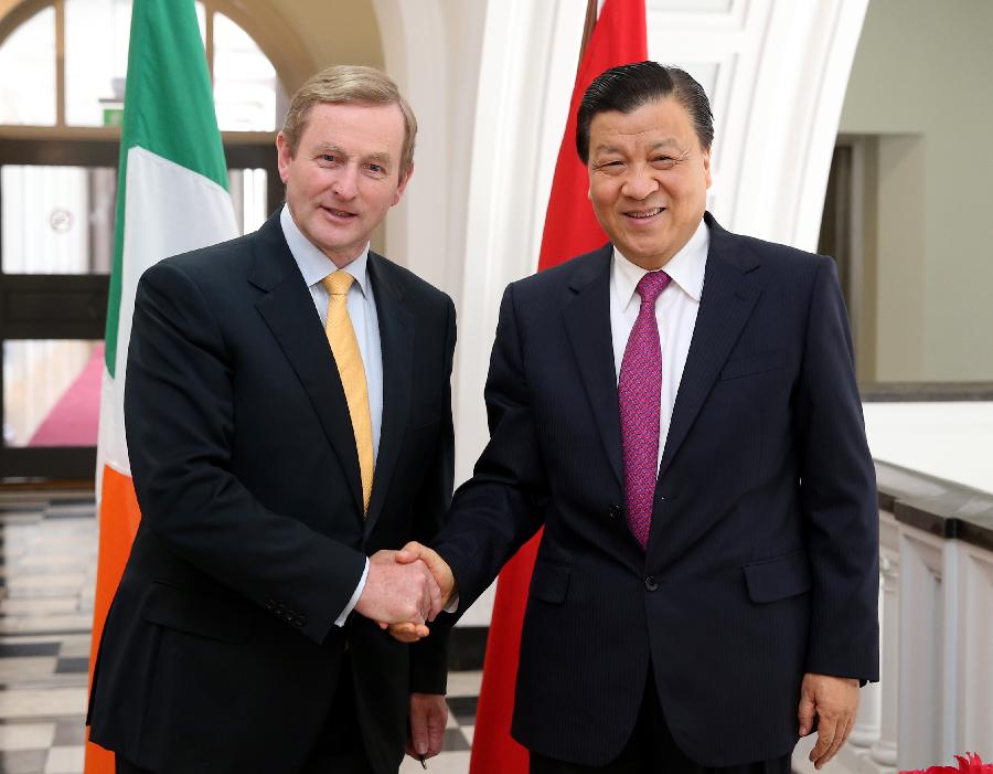 6月17日，刘云山在都柏林会见爱尔兰总理、统一党领袖肯尼。 新华社记者 姚大伟 摄 