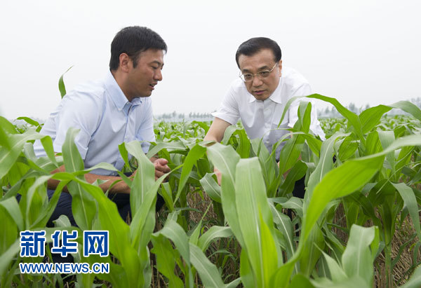 7月24日至25日，中共中央政治局常委、国务院总理李克强在山东考察。这是7月24日，李克强在德州陵县德强家庭农场考察。新华社记者黄敬文摄