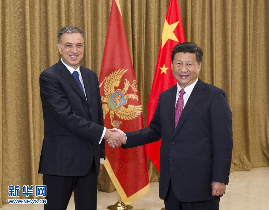 8月17日，国家主席习近平在南京会见黑山总统武亚诺维奇。 新华社记者 王晔 摄