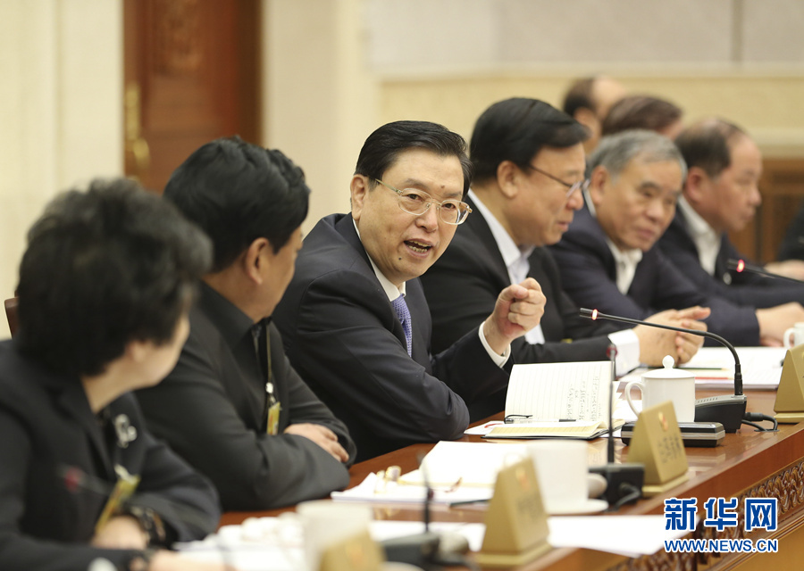 人大常委会分组审议并专题询问国务院关于推进