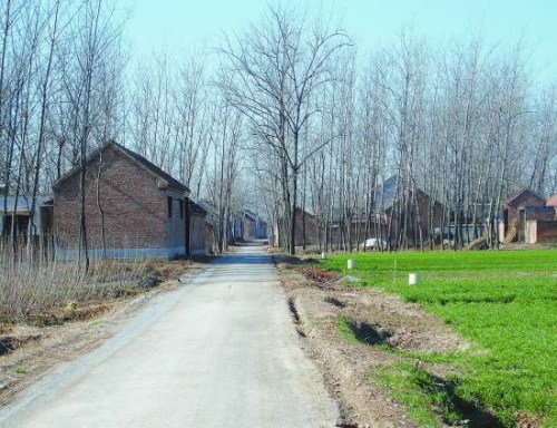 一个85后小伙子的寻爱记：找个女友回家过年（图）（2）