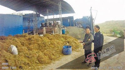 嫌疑人黄某指认现场。警方查获麻黄草、麻黄碱。警方供图