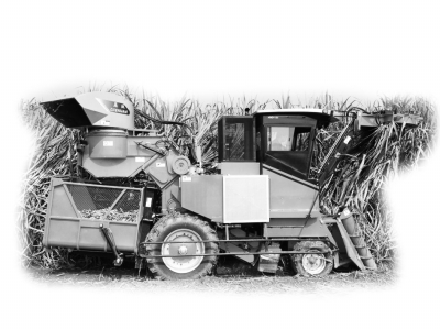 洛阳辰汉甘蔗收割机