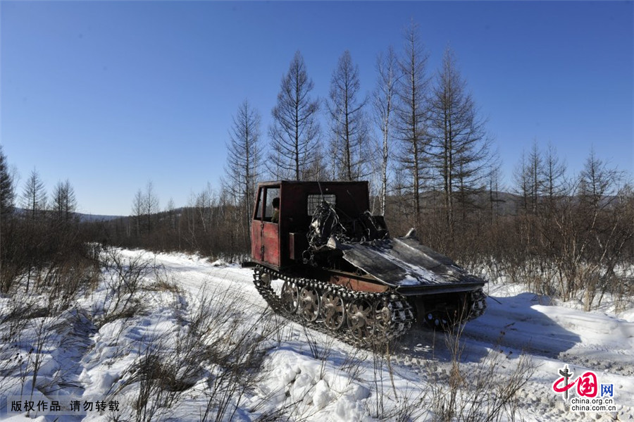 3月2日， 刘国昌和队友们驾驶集材J50特种运输车准备开始一天的工作。中国网图片库 王伟/摄