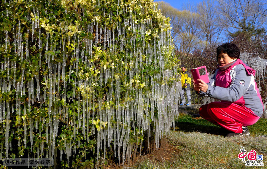 3月10日，在北京石景山雕塑公园一草坪处呈现的&ldquo;冰景观&rdquo;。中国网图片库 李文明/摄