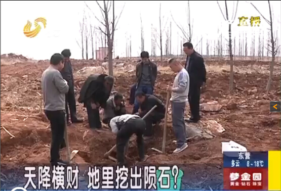 在淄博沂源县东张良村的一片地里，记者看到不少村民拿着锄头正在刨地，在进行所谓的挖宝。