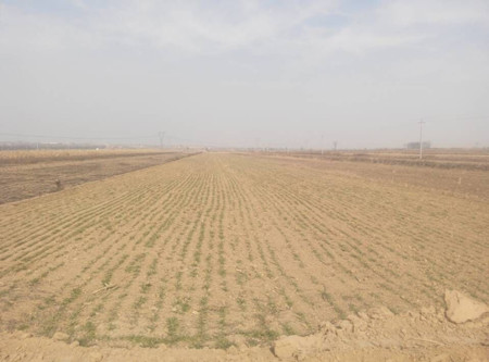 山西闻喜县发生旱灾已致6.6万人受灾