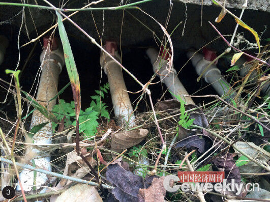 p36-3 1. 这条横跨赣粤两省的小河,因为污染严重,被当地人称为“死河”。2. 河中鱼虾越来越少,且外表发黑。3. 河水被污染,广东和平县和一村村民只能用管子把山水引到山下使用。《中国经济周刊》记者 崔晓林 摄