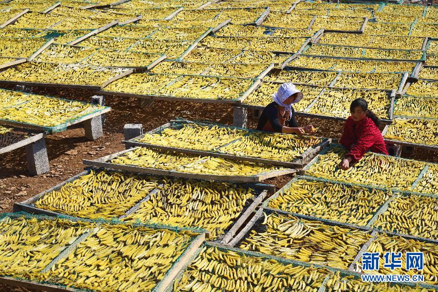 #（农业）（1）留守妇女赚&ldquo;洋钱&rdquo;