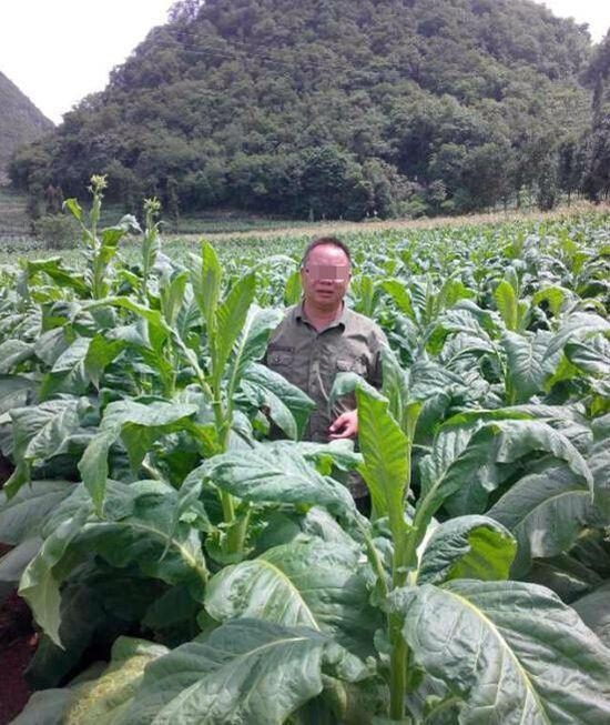 男子举报云南&ldquo;慈善妈妈&rdquo;造假敛财 遭官员威胁