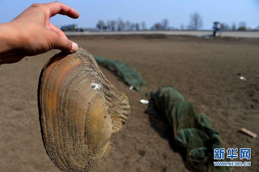 （晚報）（2）山東旱情持續 274座水庫幹涸157條河道斷流