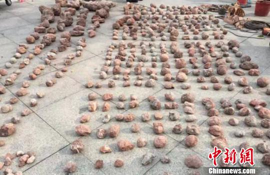 图为恐龙蛋化石河源警方供图摄