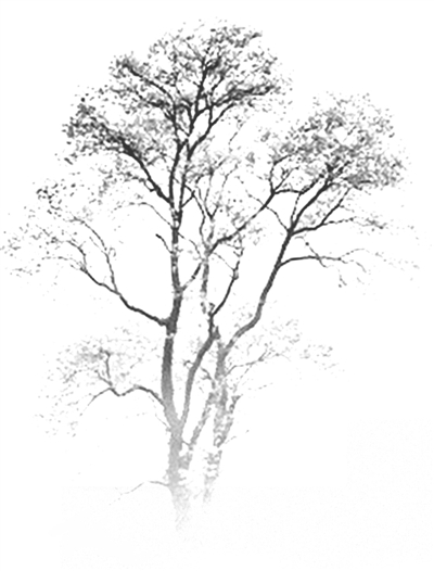 对话价值观:人伦基石 家国天下