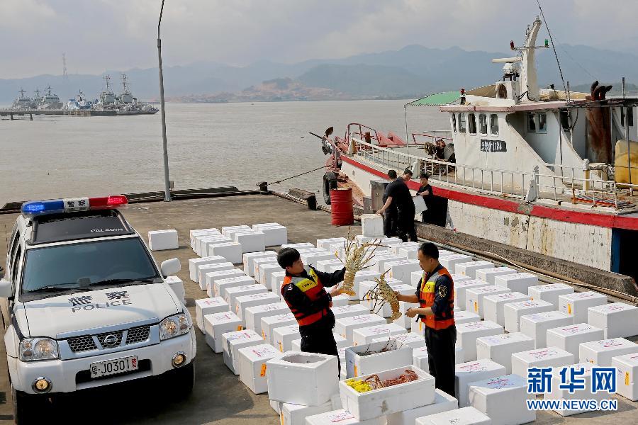 （图文互动）广东江门海关查获一起涉嫌走私高档海鲜案