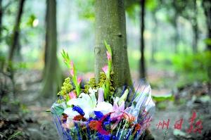 广州民政部门:炒墓地是非法集资 只会血本无归