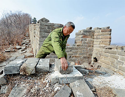 60岁的张鹤珊是河北省抚宁县驻操营镇城子峪村的农民。从1978年起，张鹤珊就开始守护着村子附近的明长城，至今已有37个年头。37年里，他劝走放羊倌，说服挖蝎人，吓跑偷砖贼，为守护好长城跟很多人急过眼、红过脸。2002年，他成为&ldquo;中国长城学会&rdquo;的首位农民会员，整理出20多万字的长城考察笔记和故事传说。