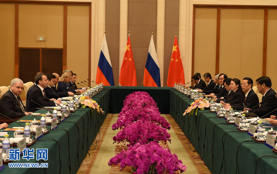  4月21日，中共中央政治局常委、国务院副总理、中俄能源合作委员会中方主席张高丽在北京与俄罗斯副总理、俄方主席德沃尔科维奇举行中俄能源合作委员会双方主席会晤。新华社记者高洁摄