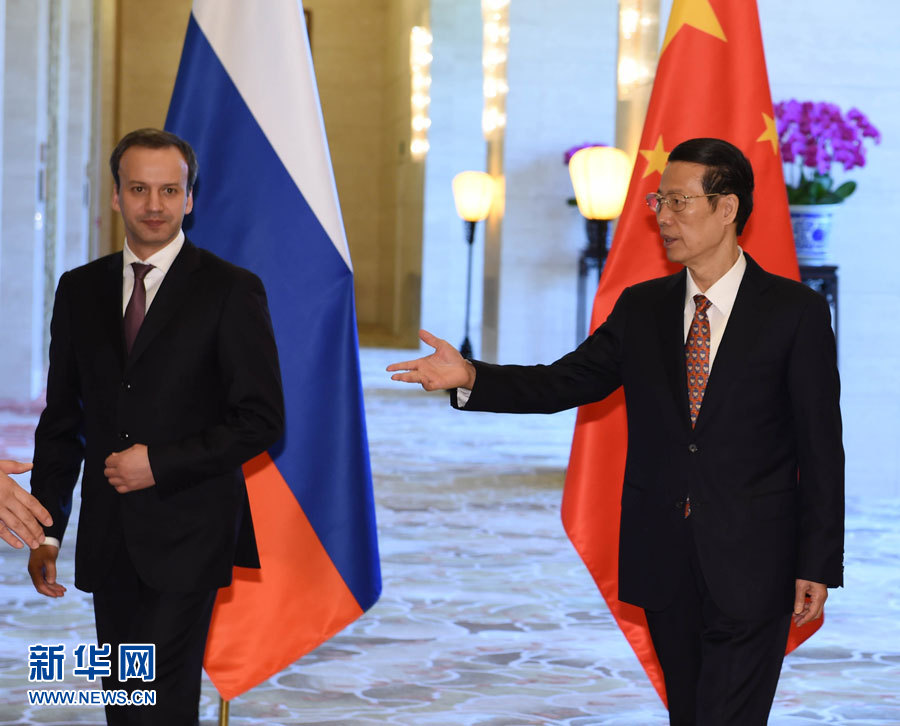 4月21日，中共中央政治局常委、国务院副总理、中俄能源合作委员会中方主席张高丽在北京与俄罗斯副总理、俄方主席德沃尔科维奇举行中俄能源合作委员会双方主席会晤。新华社记者高洁摄