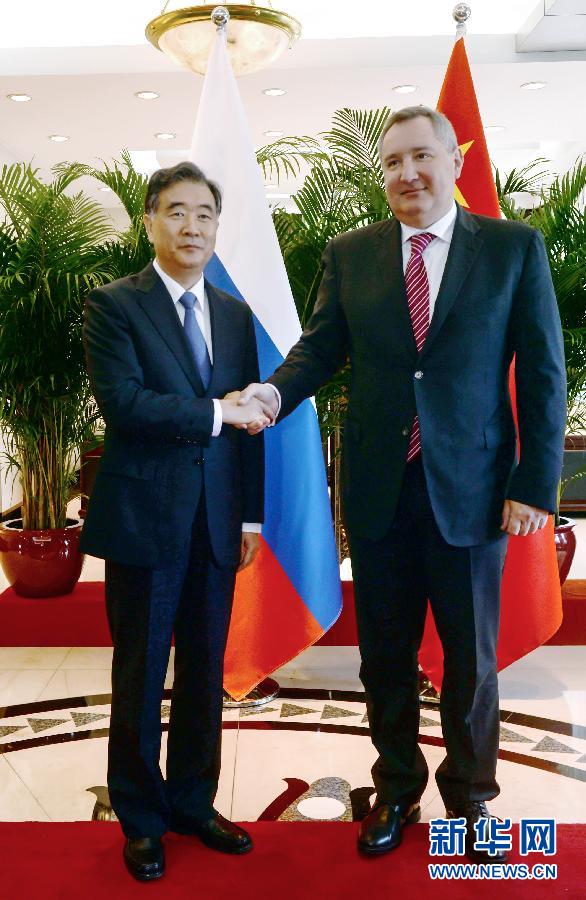 4月28日，中国国务院副总理、中俄总理定期会晤委员会中方主席汪洋在杭州与俄罗斯副总理、俄方主席罗戈津举行会晤。 新华社记者 王定昶 摄