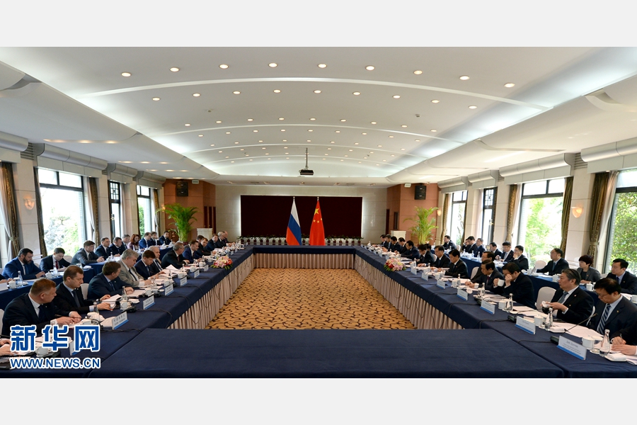 4月28日，中国国务院副总理、中俄总理定期会晤委员会中方主席汪洋在杭州与俄罗斯副总理、俄方主席罗戈津举行会晤。 新华社记者 王定昶 摄