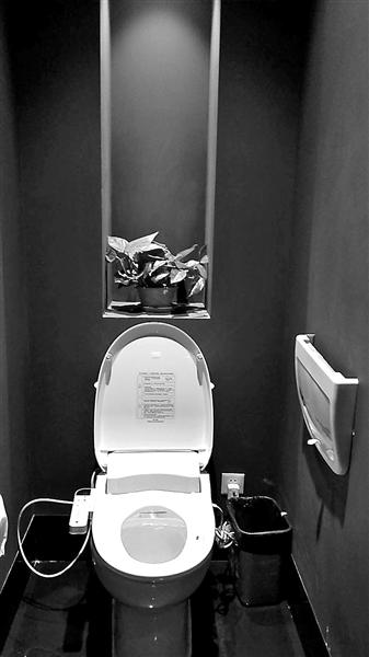 日本马桶盖在华&ldquo;水土不服&rdquo;：国内外电压不同