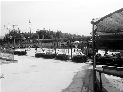 禁令下的十三陵官方培训中心