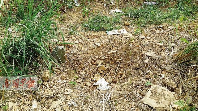 “兔唇宝宝”的重生之路 被埋于荒野八天八夜(图)