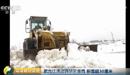 黑龙江漠河现罕见暴雪 积雪超30厘米(图)
