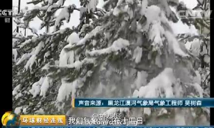 黑龙江漠河现罕见暴雪 积雪超30厘米(图)