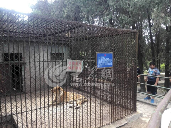 上午11点30分，泰安虎山生态园恢复营业。