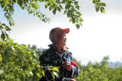 5月13日，密云县曹家路村，68岁的生态林管护员李洪明正在巡山。新京报记者 周岗峰 摄