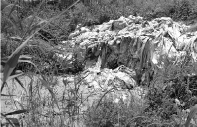 淮河支流污水處理成&ldquo;排污&rdquo; 60米深井不出幹凈水