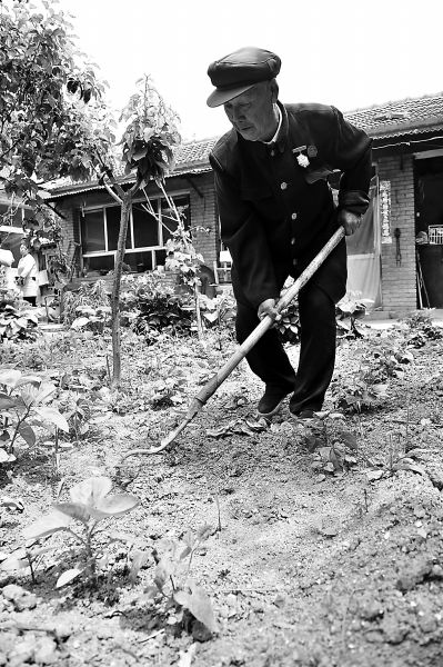 今年84岁的老兵杨启俊身体十分硬朗，还能打理自家房前的菜地。