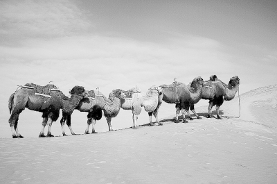 文化多样性与&ldquo;一带一路&rdquo;